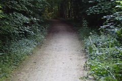 Eurovelo 3, schmal und dunkel