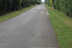 hier wird durch Piktogramme auf Radverkehr aufmerksam gemacht