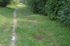 direkter Uferweg; Trampelpfad