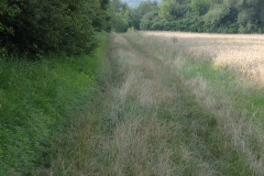 sehr schlechte Qualität des Uferweges