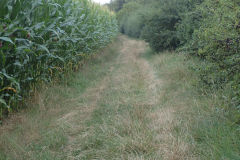 sehr schlechte Qualität des Uferweges