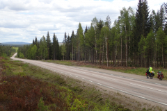 endlos durch die schwedischen Wälder