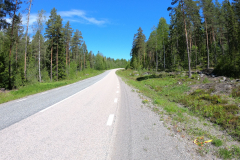 typische Straße in Schweden