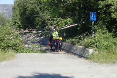 ein umgestürzter Baum versperrt den Radweg