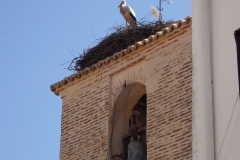 Storch auf der Kirche in Horcajo de los Montes