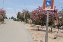 Radfahren ja, aber bitte langsam!