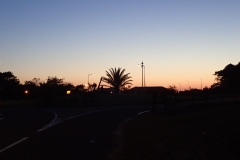 Abendsonne mit Palme