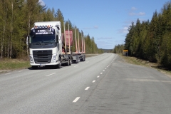 solche LKWs sind hier zum Holztransport häufig unterwegs