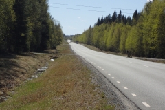km-lang geht es geradeaus durch den Wald