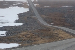 aus dem Tal führt die Straße direkt in den Nebel