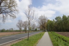 deutsche Radwege, nur etwas schmaler