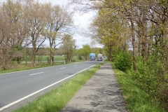 es wird sonnig, die Bäume werfen Schatten