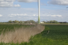 hier über das Feld sollte die Route weitergehen, wieder mal eine Niete
