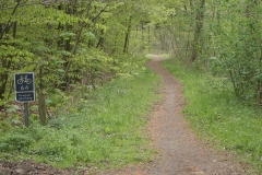 Waldweg im Verlauf der Radroute 64