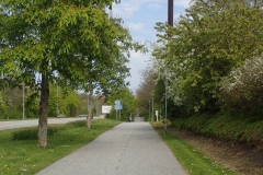 ein breiter Radweg neben einer innerstädtischen Straße