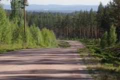 Schwedische "Berge" und die Straßen meiner Radroute